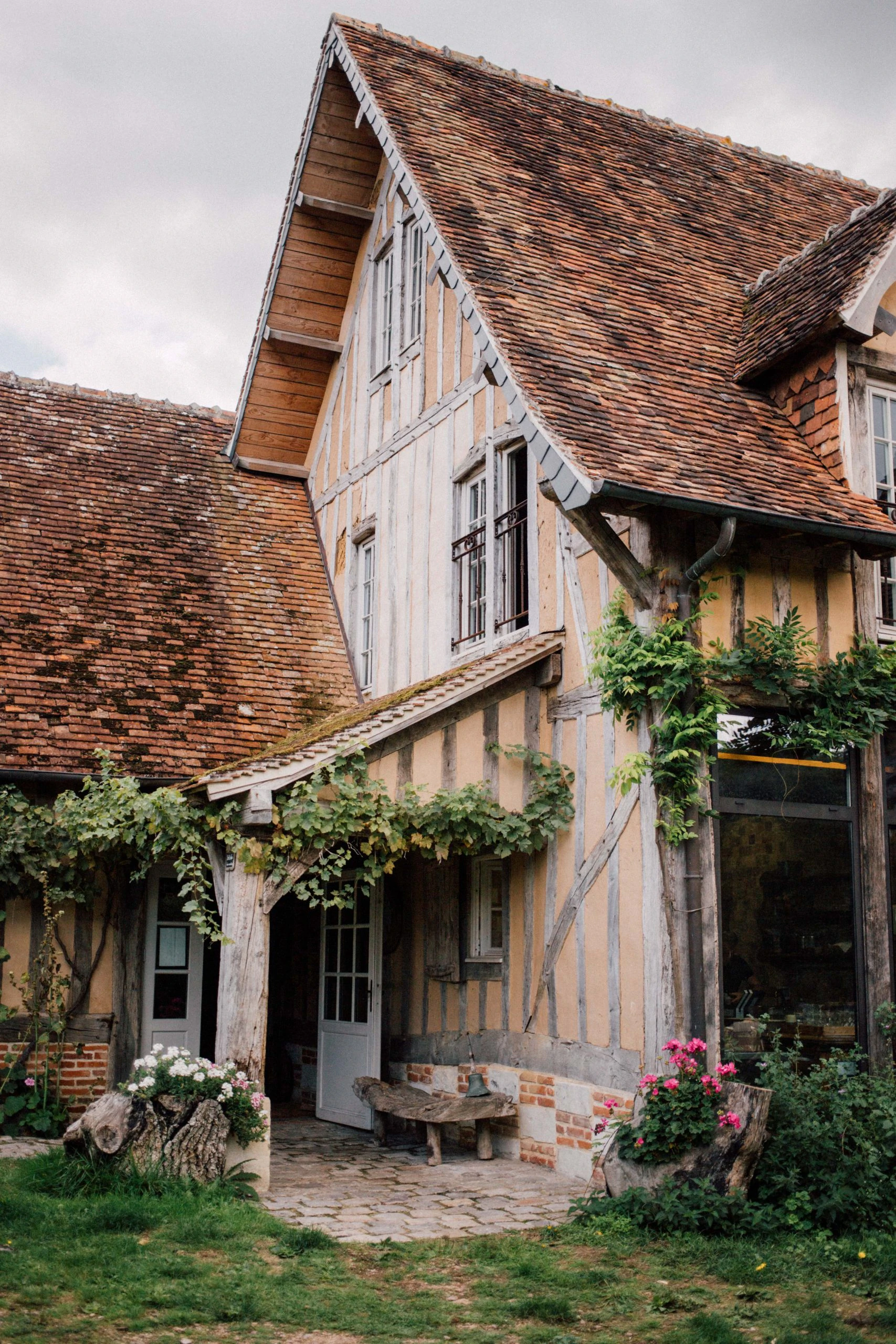 Façade à pans de bois de la ferme du Bec Hellouin, toit de chaume et vigne grimpante, en Normandie
